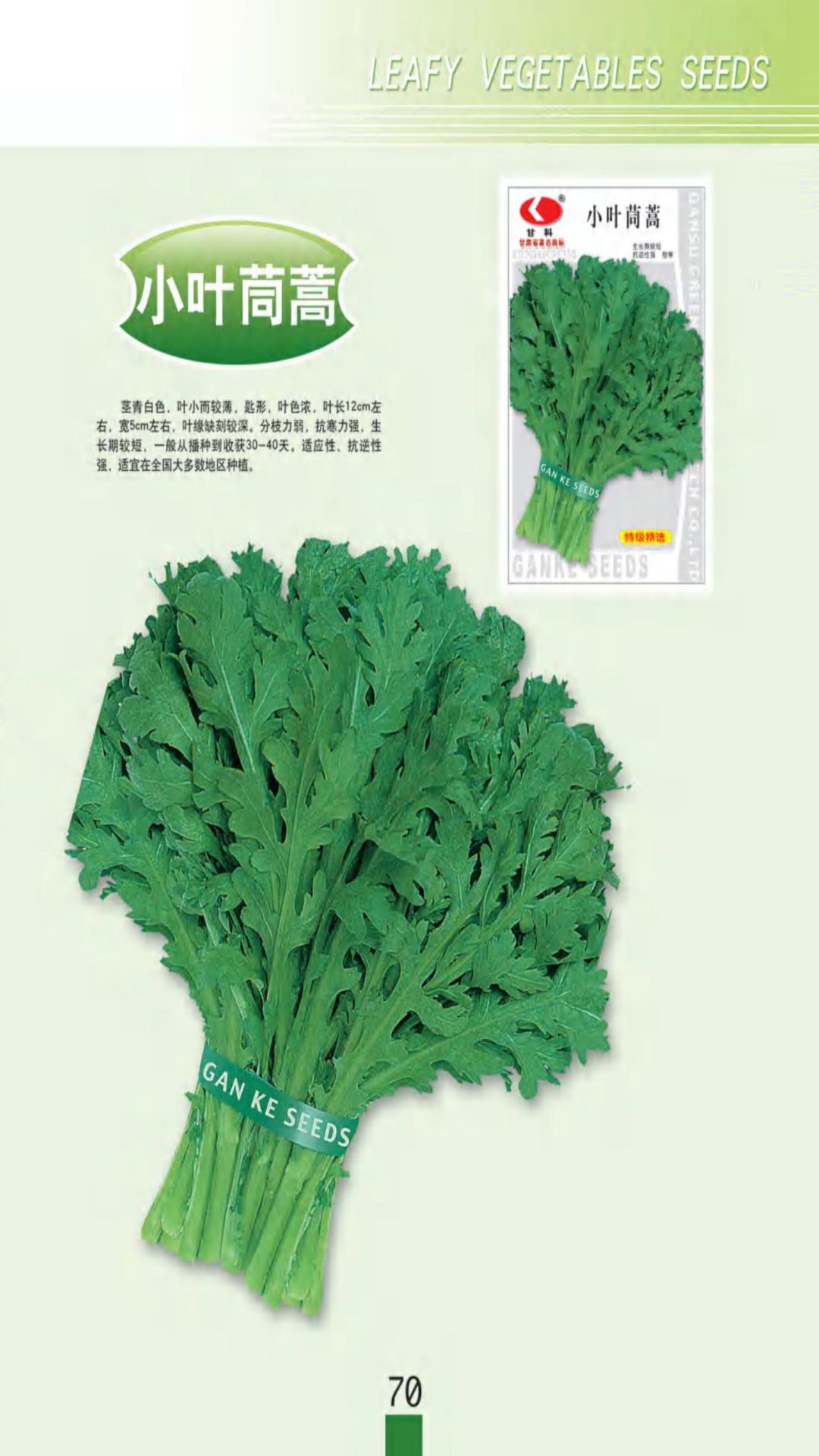 小叶茼蒿